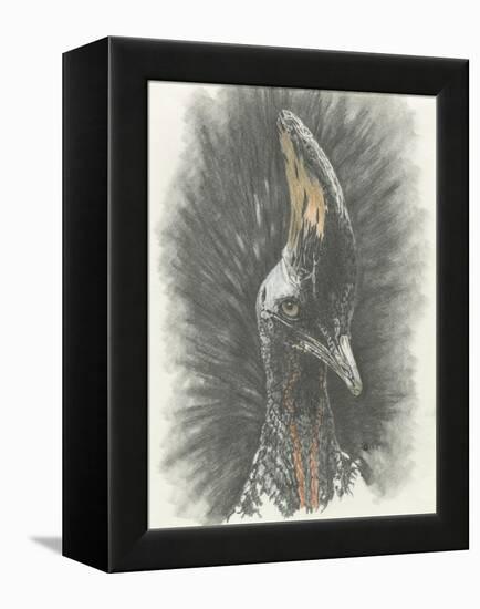 Marvelous, Simply Marvelous-Barbara Keith-Framed Premier Image Canvas