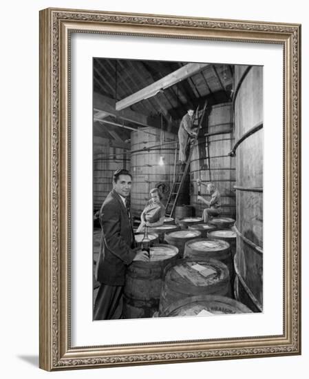 Marvin Sands and His Wife Operating their Own Laboratory for Wine Making-null-Framed Photographic Print