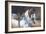 Marwari Horse II-Jennifer Wright-Framed Giclee Print