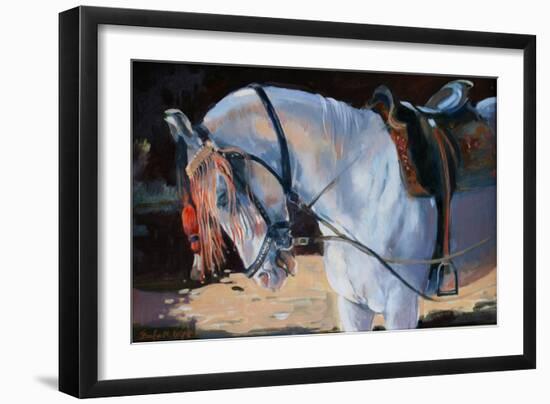 Marwari Horse, Rajasthan, 2010-Jennifer Wright-Framed Giclee Print