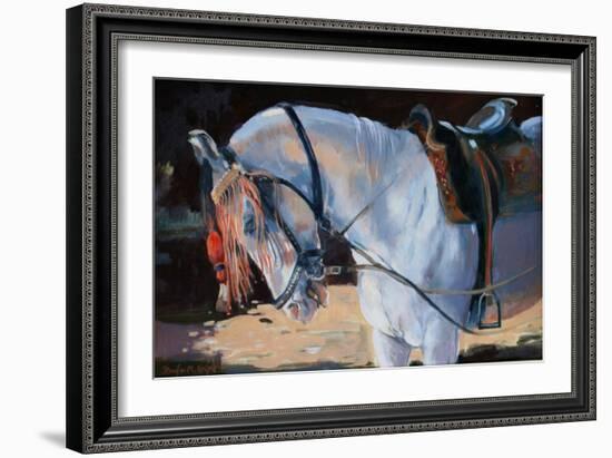 Marwari Horse, Rajasthan, 2010-Jennifer Wright-Framed Giclee Print