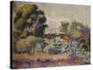 Stretched Canvas Print