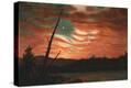 Stretched Canvas Print