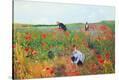 Stretched Canvas Print