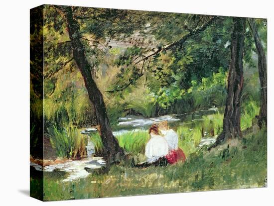 Stretched Canvas Print, , large
