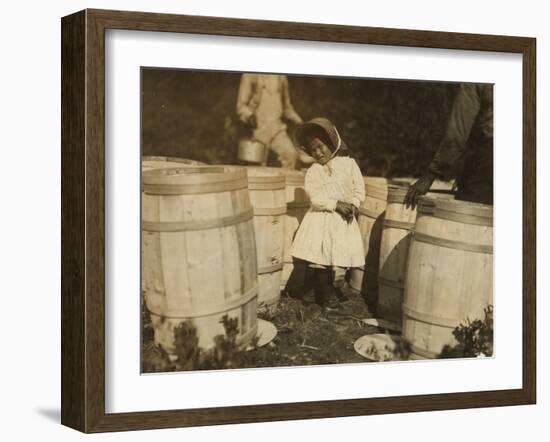 Mary Christmas, Only 3, Made to Pick Cranberries Spilt at the Barrels by Her Grandfather-Lewis Wickes Hine-Framed Photographic Print