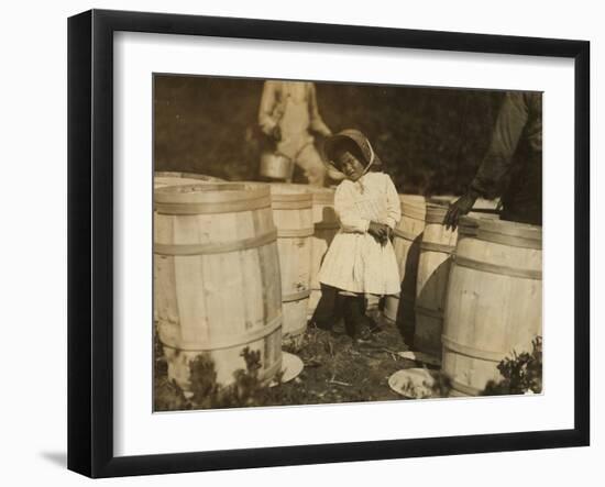 Mary Christmas, Only 3, Made to Pick Cranberries Spilt at the Barrels by Her Grandfather-Lewis Wickes Hine-Framed Photographic Print