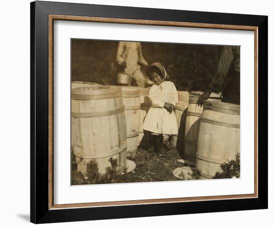 Mary Christmas, Only 3, Made to Pick Cranberries Spilt at the Barrels by Her Grandfather-Lewis Wickes Hine-Framed Photographic Print