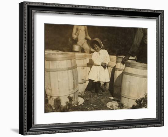 Mary Christmas, Only 3, Made to Pick Cranberries Spilt at the Barrels by Her Grandfather-Lewis Wickes Hine-Framed Photographic Print