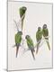 Premium Giclee Print