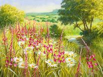 Cuckoo Flowers-Mary Dipnall-Giclee Print