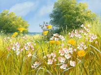 Sunlit Meadow-Mary Dipnall-Giclee Print