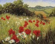 Sunlit Meadow-Mary Dipnall-Giclee Print