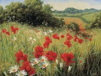 Sunlit Meadow-Mary Dipnall-Framed Giclee Print