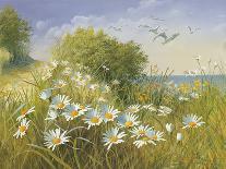 Sunlit Meadow-Mary Dipnall-Framed Stretched Canvas