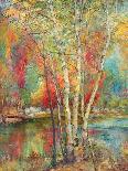 Silver Birches, c.1929-Mary Ella Williams Dignam-Framed Premier Image Canvas