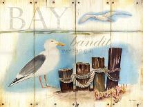 Bay Gull-Mary Escobedo-Art Print