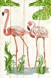 Tropical Toucan-Mary Escobedo-Art Print