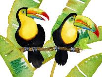 Tropcial Toucan Pair-Mary Escobedo-Art Print