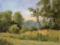 Monet's Garden I-Mary Jean Weber-Framed Art Print