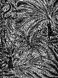 Great Dixter: Christopher Lloyd's Dachshund-Mary Kuper-Framed Giclee Print