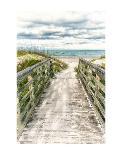 Seaside Entry-Mary Lou Johnson-Art Print