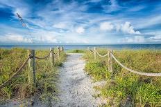 Beach Time-Mary Lou Johnson-Photo