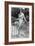 Mary Maguire, Australian Actress, C1936-C1939-null-Framed Giclee Print