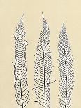 Horizontal Plants 6-Mary Margaret Briggs-Giclee Print