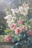 Still Life of Roses-Mary Margetts-Giclee Print