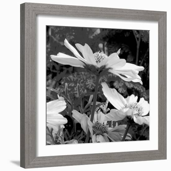 Mary Mary-Ruth Palmer-Framed Art Print