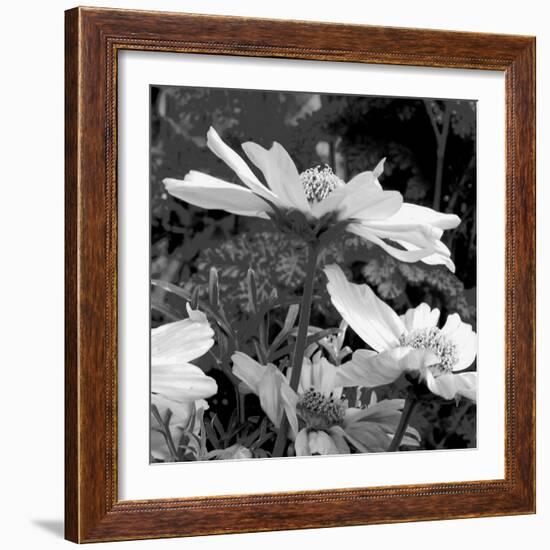 Mary Mary-Ruth Palmer-Framed Art Print