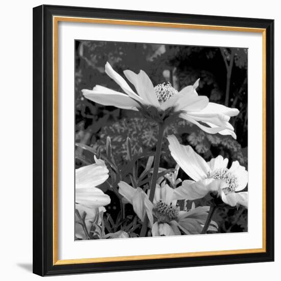 Mary Mary-Ruth Palmer-Framed Art Print