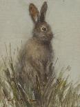 Abstract Rabbit 1-Mary Miller Veazie-Framed Giclee Print