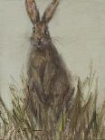 Abstract Rabbit 1-Mary Miller Veazie-Giclee Print