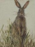 Abstract Rabbit 1-Mary Miller Veazie-Mounted Giclee Print