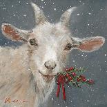 Llama with Red and White Scarf-Mary Miller Veazie-Giclee Print