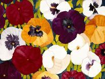 Sacred Pansies-Mary Russel-Giclee Print