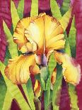 Yellow Iris with Maroon Back-Mary Russel-Giclee Print