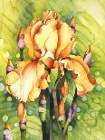 Yellow Iris-Mary Russel-Giclee Print