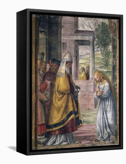 Mary Saying Farewell at the Temple-Bernardino Luini-Framed Premier Image Canvas