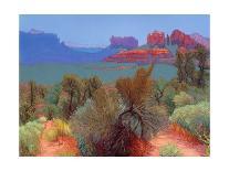 Juniper Hills-Mary Silverwood-Stretched Canvas