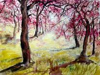 blossom in Darley park-Mary Smith-Giclee Print