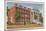 Mary Washington College, Fredricksburg-null-Mounted Art Print