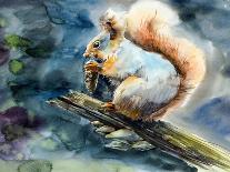 Squirrel Eats. Decoration with Wildlife Scene. Pattern from Forest Inhabitant. Watercolor Hand Draw-Marya Kutuzova-Art Print