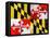 Maryland-Artpoptart-Framed Premier Image Canvas