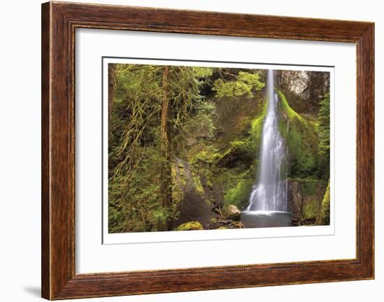 Marymere Falls II-Donald Paulson-Framed Giclee Print