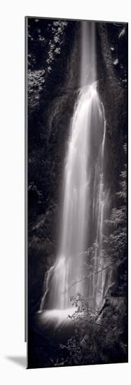 Marymere Falls Olympic National Park BW-Steve Gadomski-Mounted Photographic Print