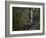 Marymere Falls, Olympic National Park, UNESCO World Heritage Site, Washington, USA-Colin Brynn-Framed Photographic Print