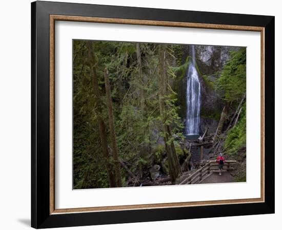 Marymere Falls, Olympic National Park, UNESCO World Heritage Site, Washington, USA-Colin Brynn-Framed Photographic Print